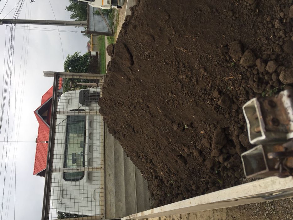 Pamant negru vegetal