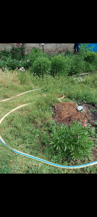 Дача Кайназаровкая ниже бака