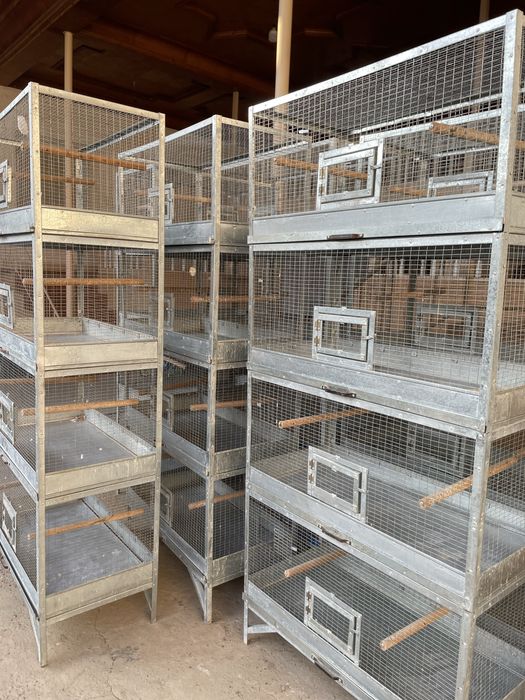 Qafas Valer sotiladi