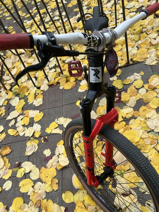 Bicicleta dirt jumper radon