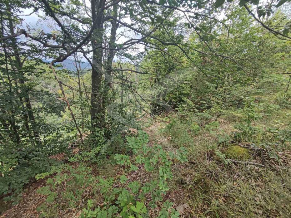 Продава се Парцел в с. Мостово, Област Пловдив - 2081 кв.м за 16 €/кв.м - Снимка #3