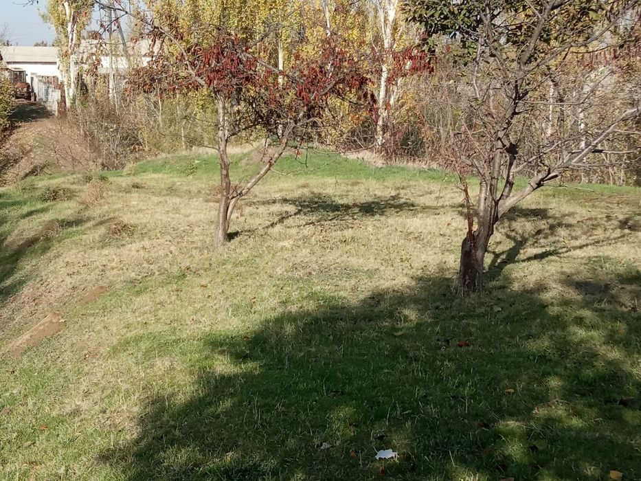 Yer uchastkasi sotiladi