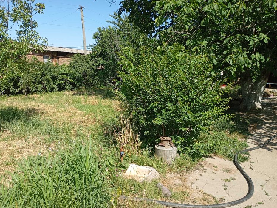 Hovli uchaska Toshkent vil. Bustonliq tum.Dumaloq qishlogi