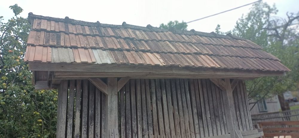 Costei pentru porumb