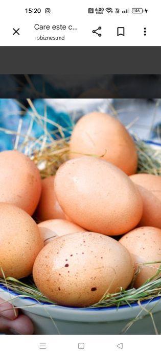 Ouă ,de la găini crescute pe pământ