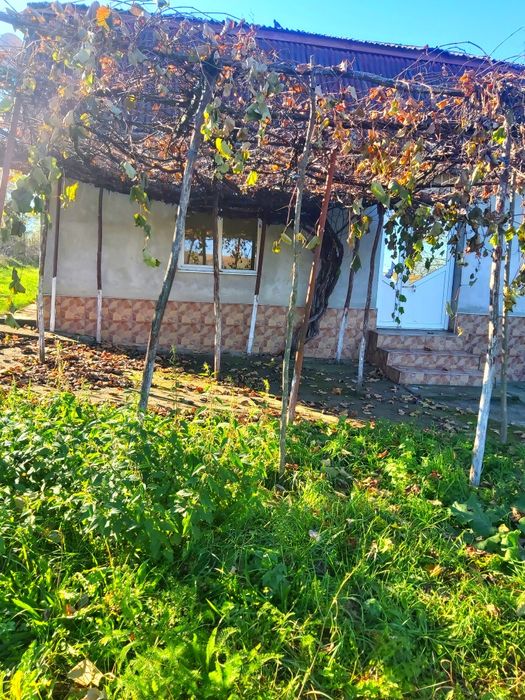 Casa cu teren de vânzare