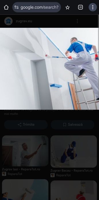 *DEFRISARI/Cosit-Demolari- Zugravit-Tuns Gazon