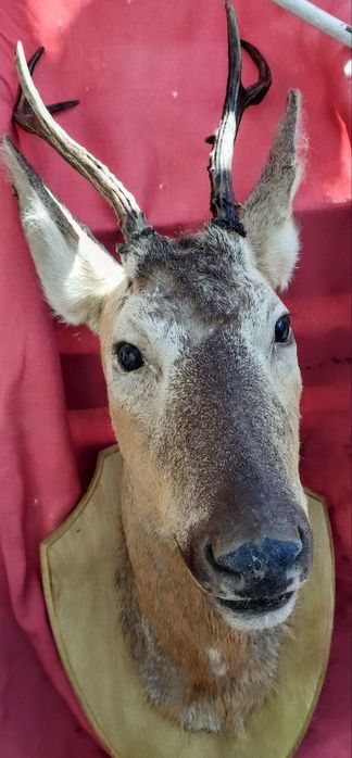 Предметы для дома