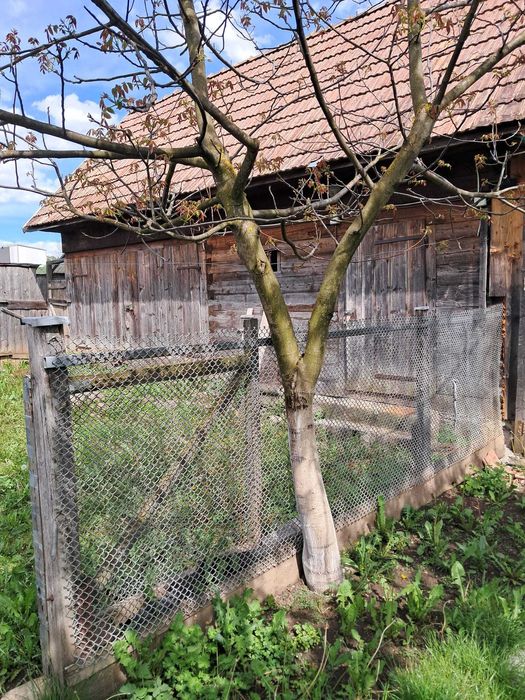 Casa de vanzare IARA
