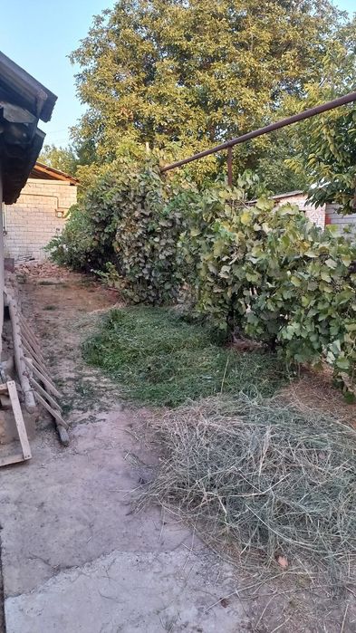 Yet arzonga tezda sotiladi