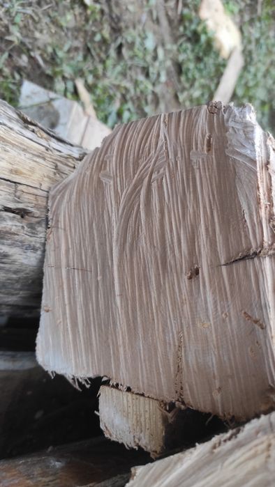 Греди - дъбови и букови много здрави!