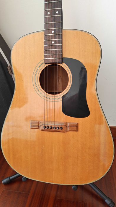 Chitara Washburn + Toc Chitara + stand