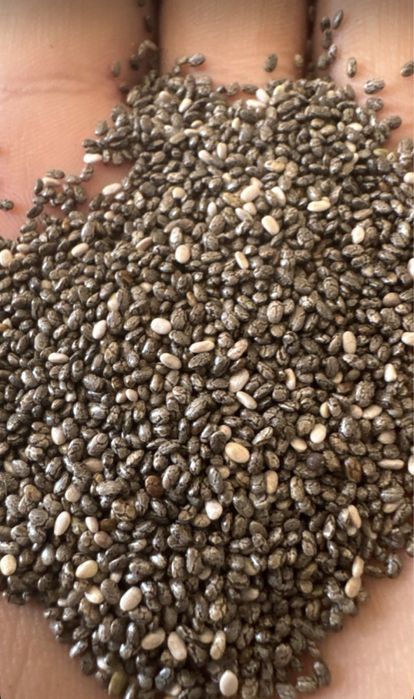 Chia, xelba, zigir, OPTOM