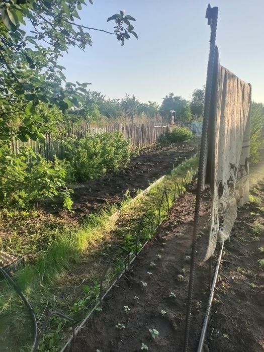 Дача сад Здоровье