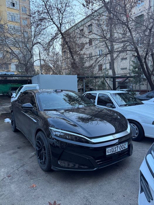 Byd han L 2025yil qora