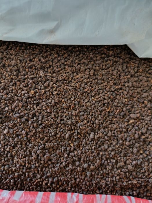 Продам чай индийский