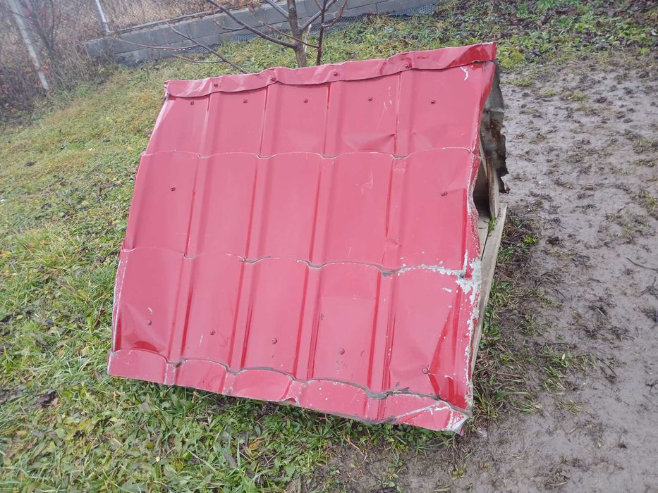 Cusca de caine talie mediu si mare