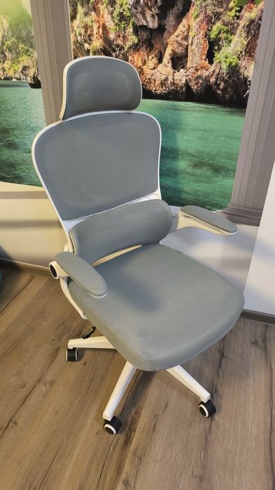 Scaun de birou CARRYHOME