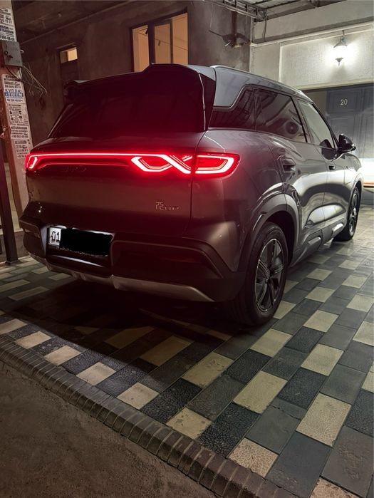 BYD yuan up 2024
