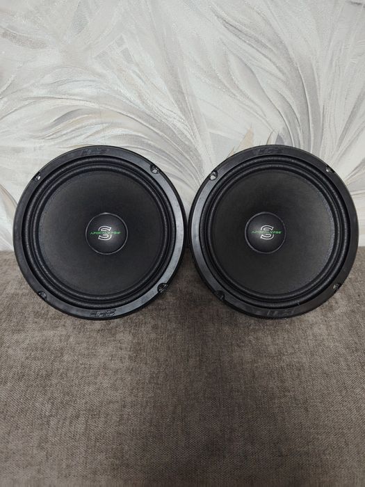 Эстрадные динамики