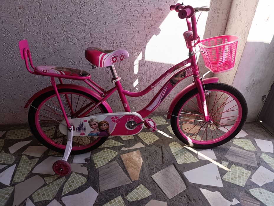 Барыс и Анна Элза