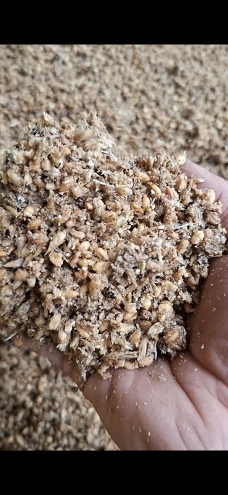 Товуклар ва молар