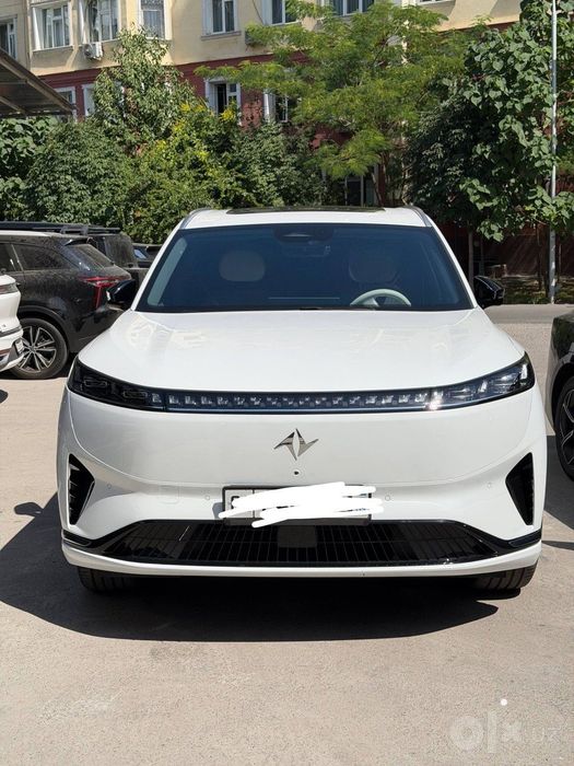 Dongfeng 008 ultra