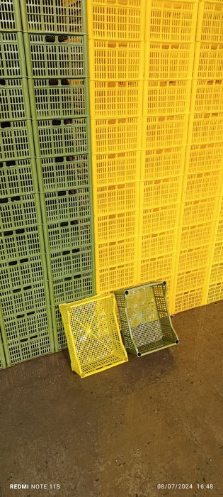 Plastik karzinklar sotiladi