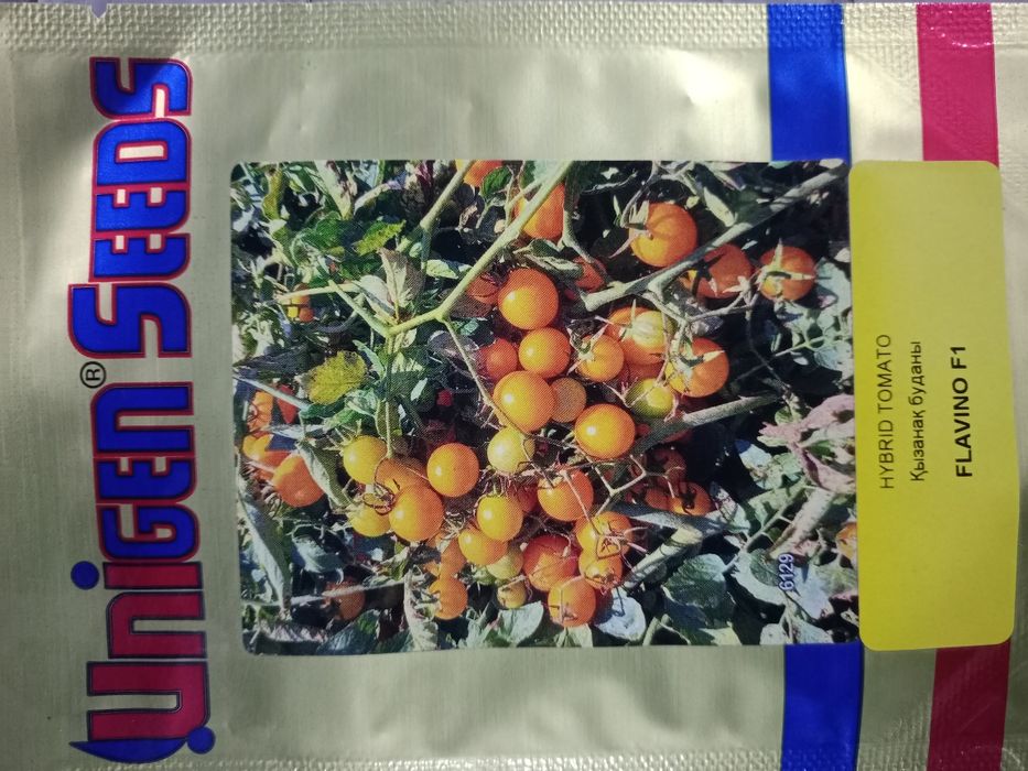 Продам семена томатов чери