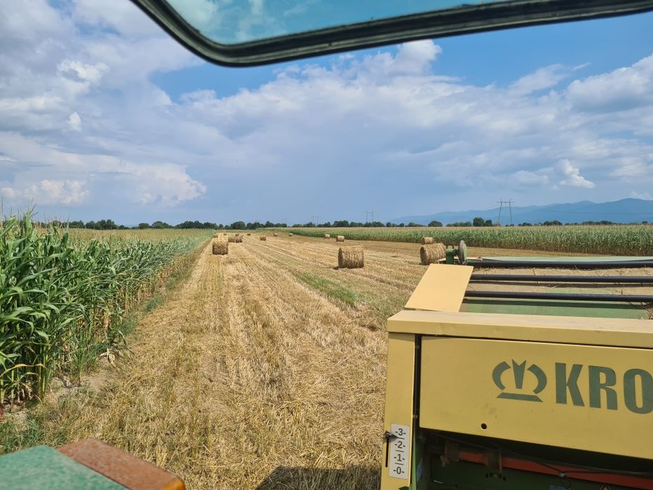 Vând baloți de paie 125/125