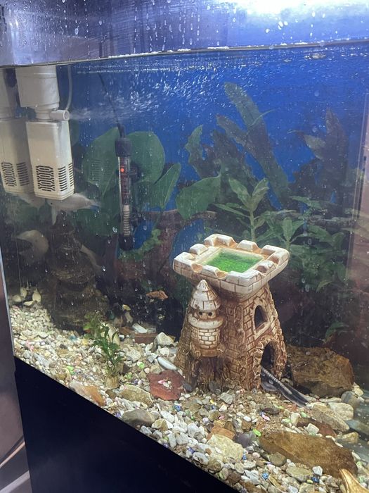 Авариум  с тумбой