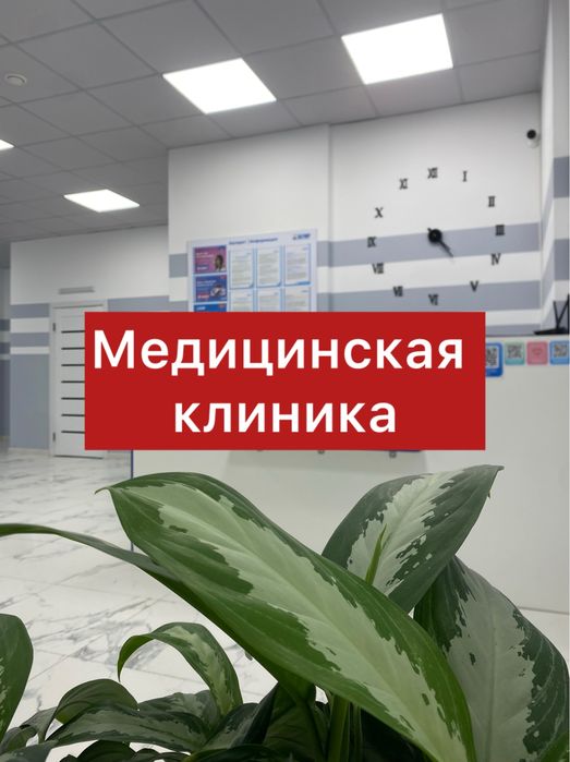Медицинская клиника