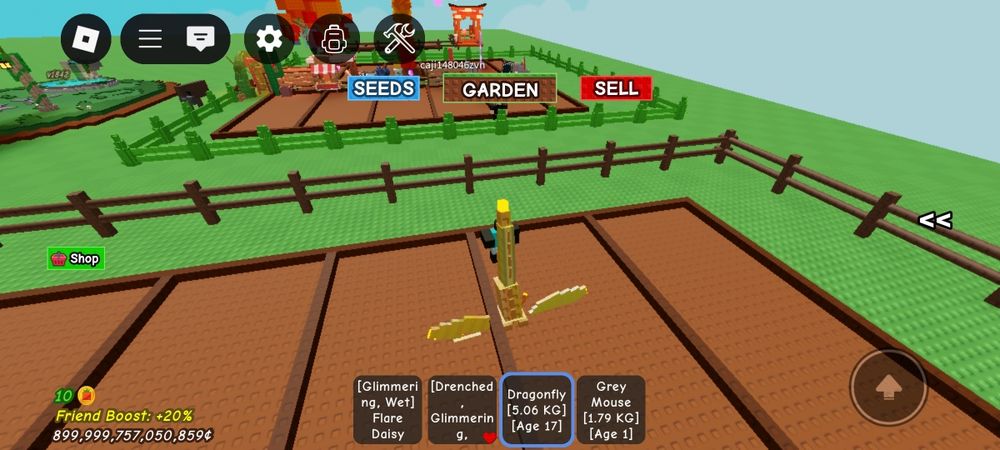 Продам петов за голду