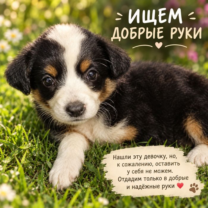 Отдам девочку в ответственные руки!