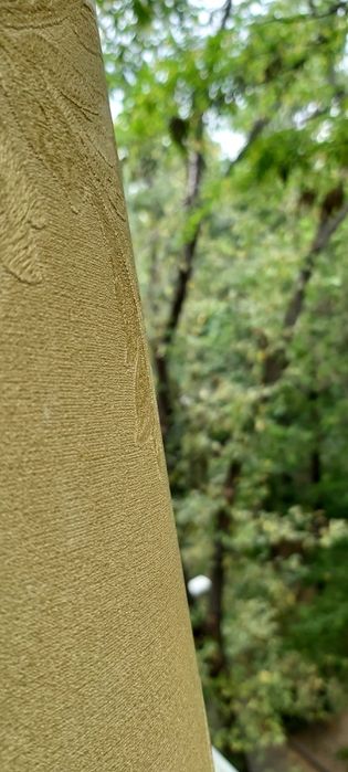 Рулон Виниловых Обоев 10х0.53м.