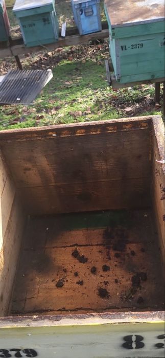 Vand Cutii Stupi Verticali 10 Rame cu Caturi