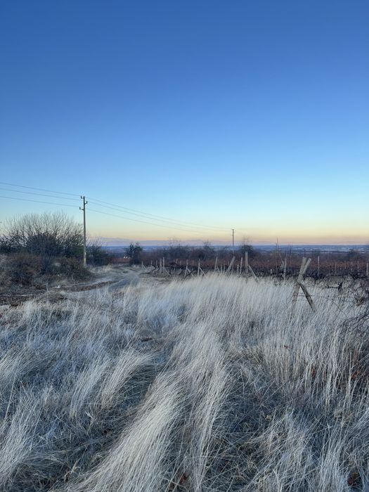 Продава се Парцел в Пловдив, Каменица 1 - 2600 кв.м за 50 €/кв.м - Снимка #5