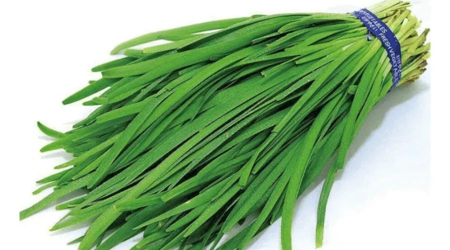 Петрушка кудрявая, лук перо, джусай