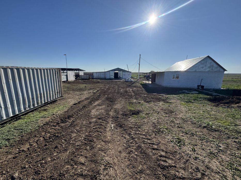 откормочная площадка крс,мрс.