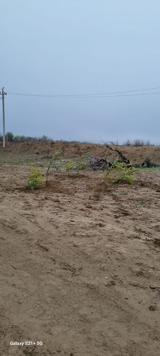 Продается Дачный Участок