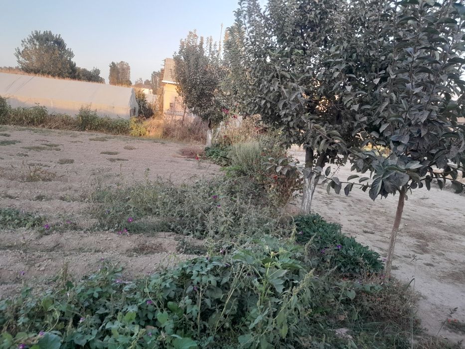 Yer sotiladi 8 sotok