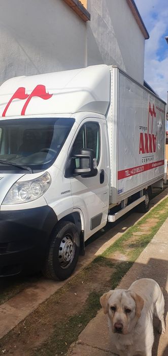 Transport marfa mutări debarasari