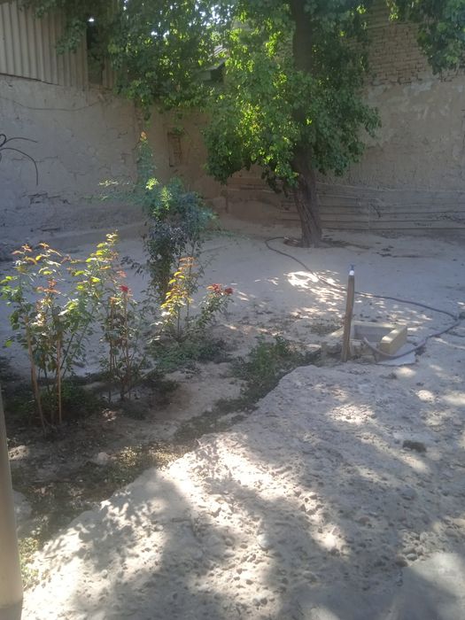 Янгийол центрда 4-хона уйи 3-сотих ери Срочна Сотилади