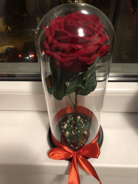 Trandafir criogenat rosu  in cupola