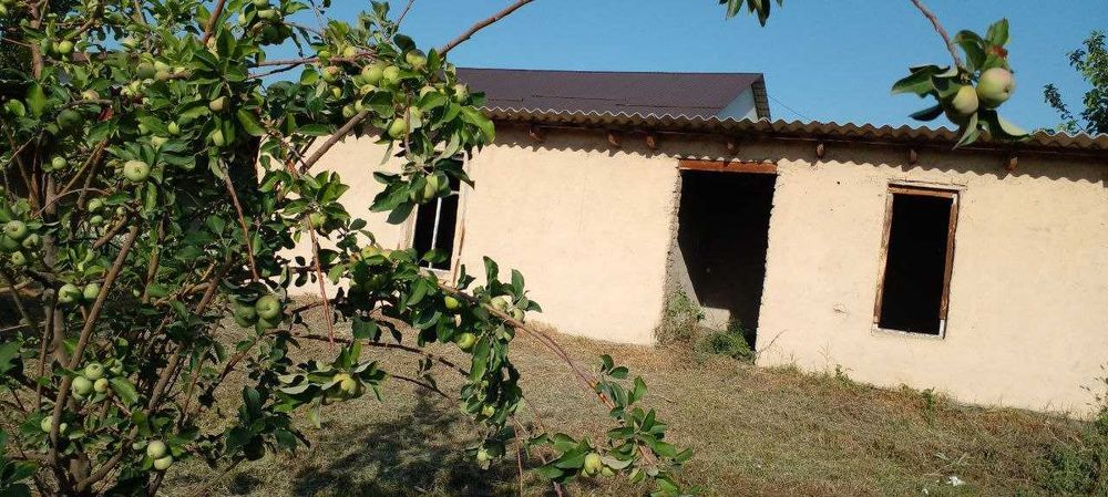 12 sotixli uchastka sotiladi (vremenkasi, meva daraxtlari bor) .