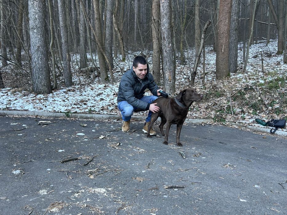 Разходки на кучета и посещения в домовете