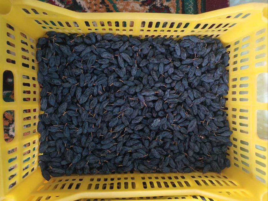 Mayiz olib beramiz cheklanmagan miqdorda