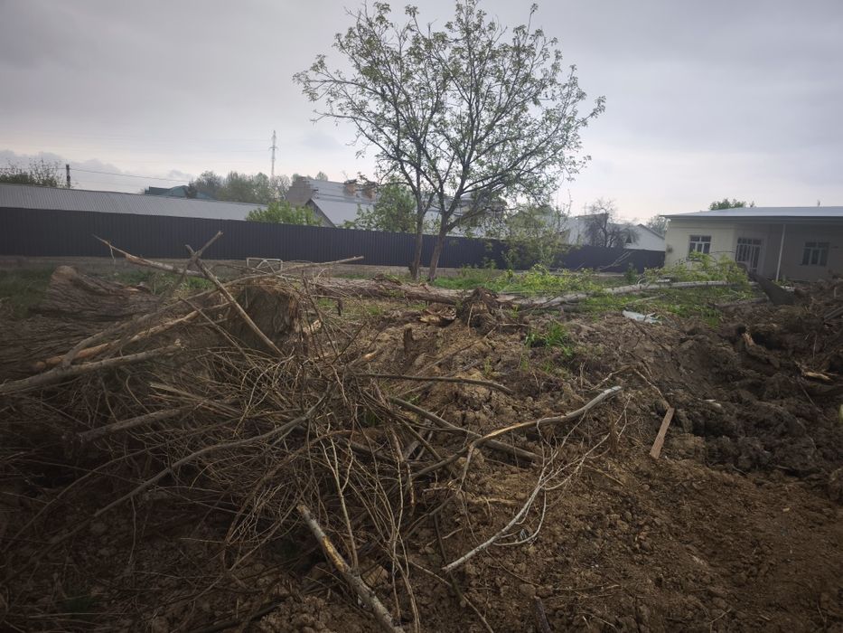 O'tin Otin Отин tekin faqat hammasini olish kerak