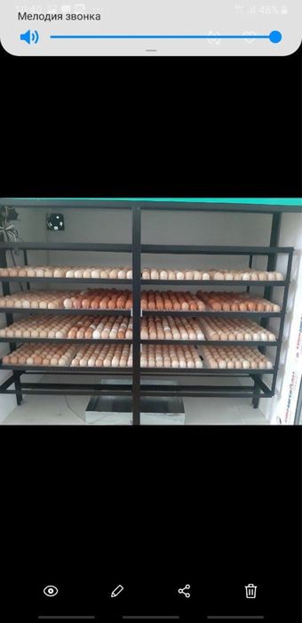 Продам инкубатор новый