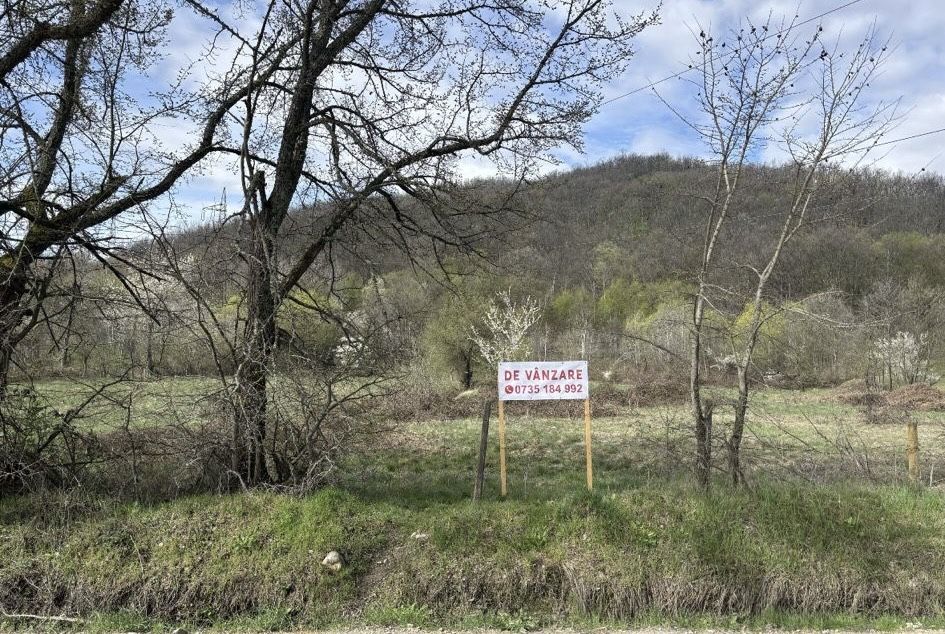 Vand loturi de teren pe strada Aninilor